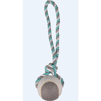 Hundleksak Tennisboll Slunga Med Mintsmak Large 10x10x50cm