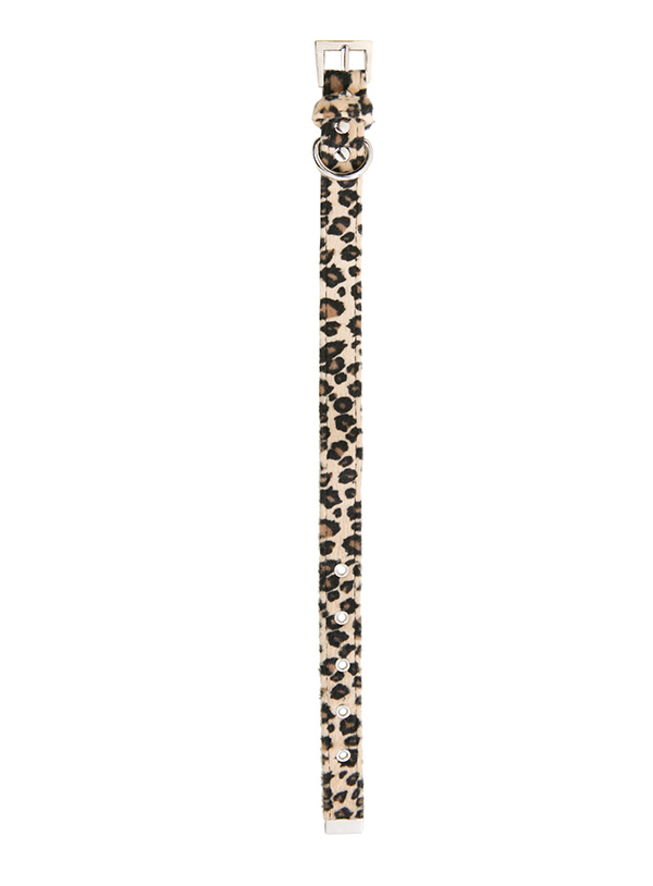 Urban Pup Halsband Leopard Print Medium - 4