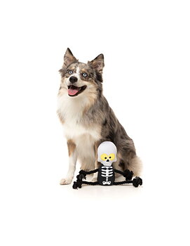 FuzzYard Hundleksak Indiana Bones Rope