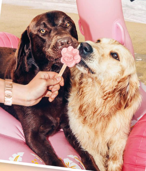 Smoofl Ice Treat Form Medium Rosa - 3