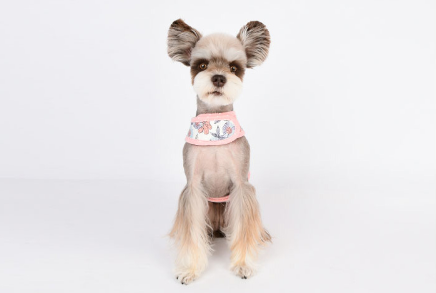 Pinkaholic Zinnia Sele Modell J Ivory Small - 6