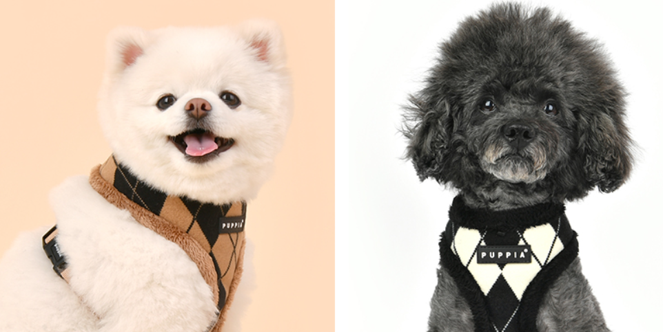 Puppia Jaden Sele Modell A Svart - 6