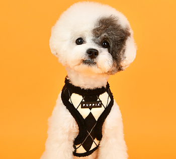 Puppia Jaden Sele Modell A Svart