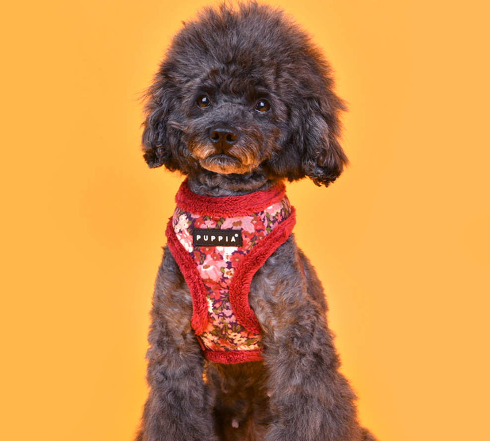 Puppia Gianni Sele Modell A Vinröd - 2