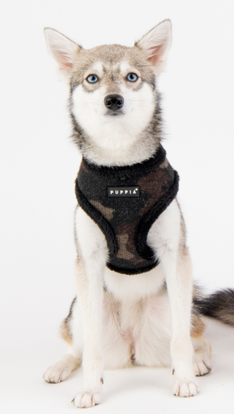 Puppia Colonel Sele Modell A Camo - 5