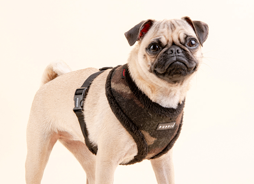 Puppia Colonel Sele Modell A Camo - 2