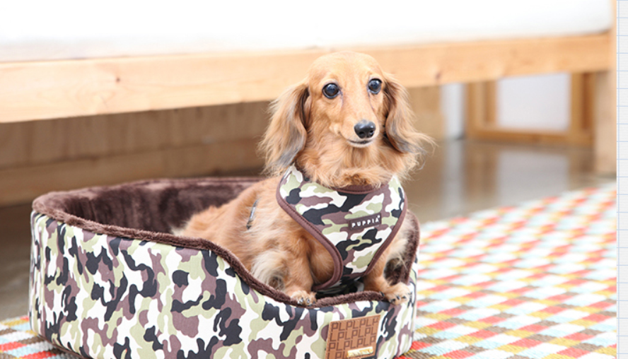 Puppia Legend Sele Modell A Brun Camo  - 2