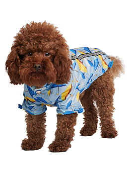 Urban Pup Umbrella Print Rainstorm Regnjacka Small