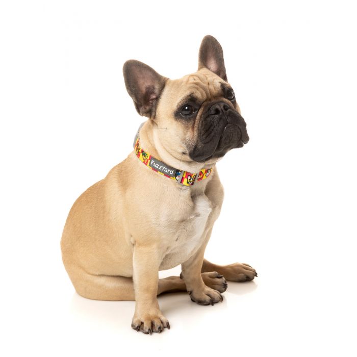 FuzzYard Doggoforce Neoprene Halsband Small - 5