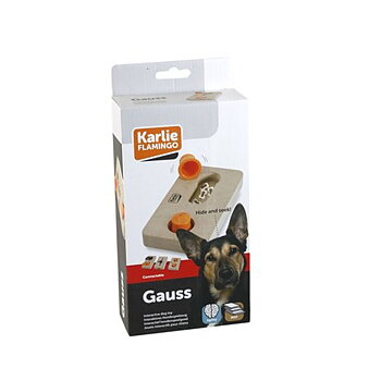 Aktivitetsleksak Gauss 22x12cm