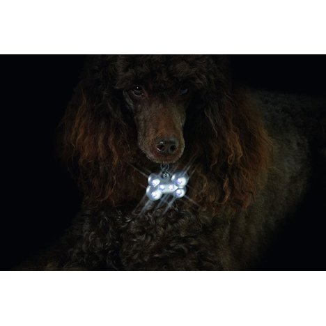 Blinki Ben 6 Led Lampor - 2