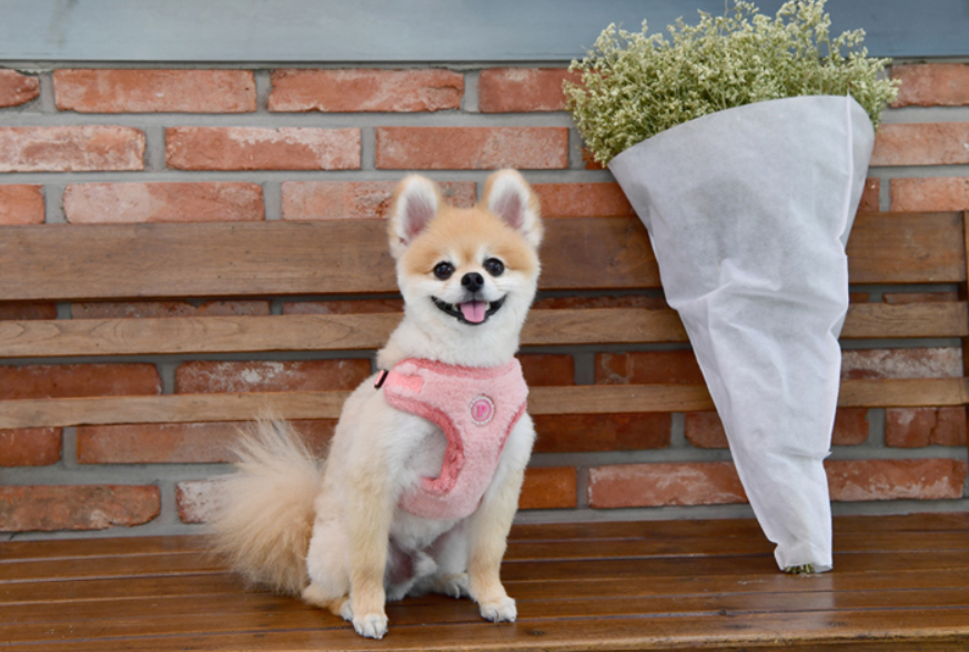 Pinkaholic Iva Sele Modell C Rosa - 7
