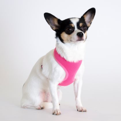 Dogman Comfort Mini Sele Rosa Medium, Hals 31cm & Bröst 53cm