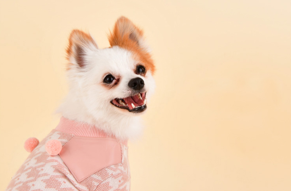 Pinkaholic Mirabelle Hundtröja Rosa - 8