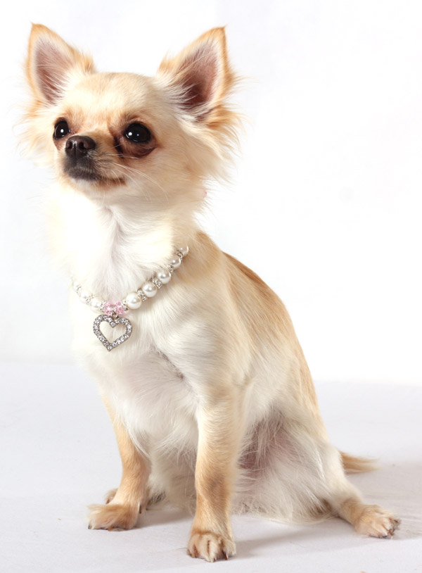 Urban Pup Pearl Heart Charm Hundhalsband Medium - 2