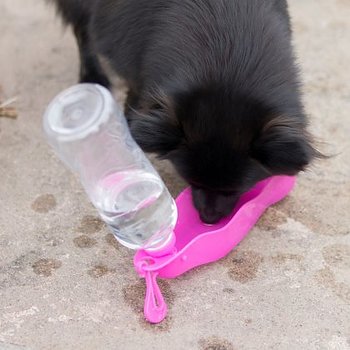Dogman Vattenflaska Mille Rosa 500ml