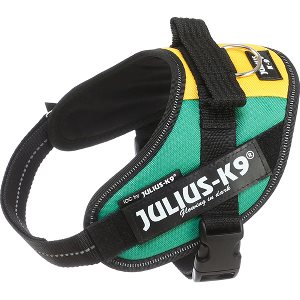 Julius-K9 IDC Sele Mini-Mini Africa Style 40-53 cm Röd/Grön/Gul