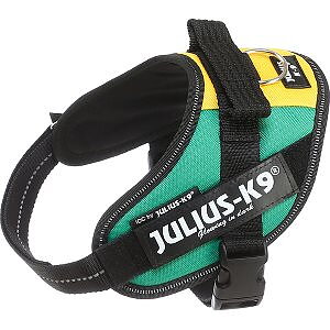 Julius-K9 IDC Sele Mini-Mini Africa Style 40-53 cm Röd/Grön/Gul