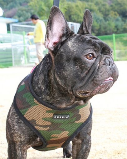Puppia Soft Harness Grå - 2