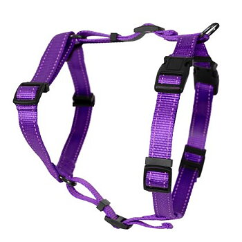 Dogman H-Sele Iris Lila 15mm