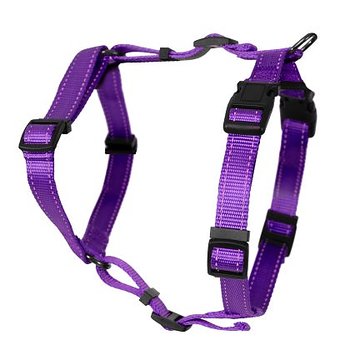 Dogman H-Sele Iris Lila 25mm