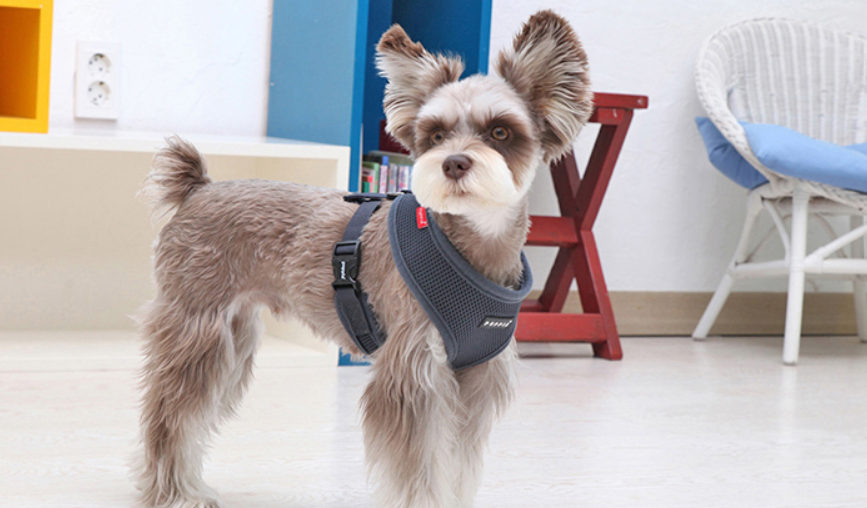 Puppia Soft Harness Brun - 3