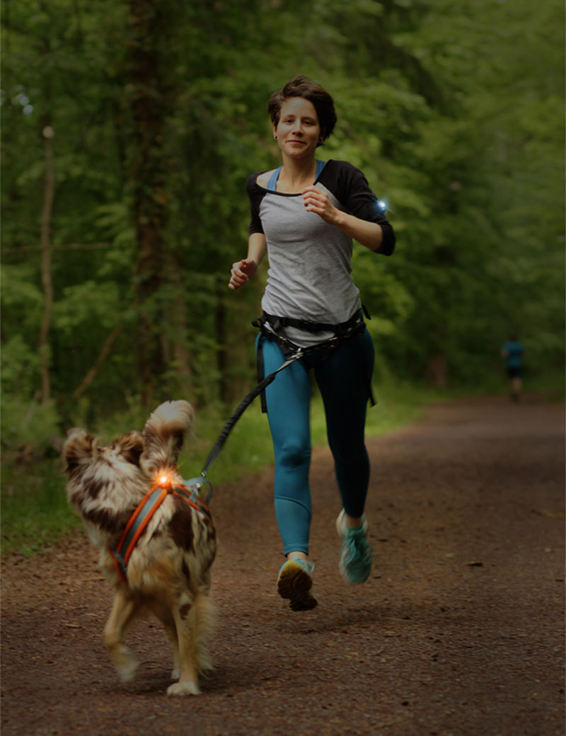 Orbiloc K9 Active Pack  - 3