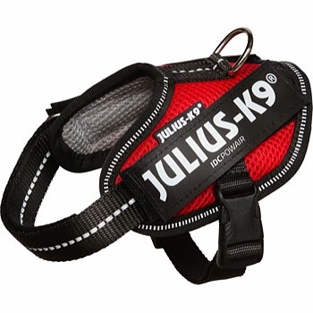 Julius-K9 IDC Powair Sele Röd Baby 2 33-45cm 