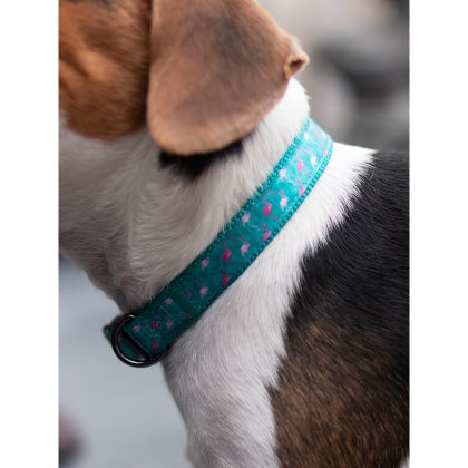 Dogman Justerbart Halsband Flamingo Turkos 25mm x 38-66cm X-Large - 2