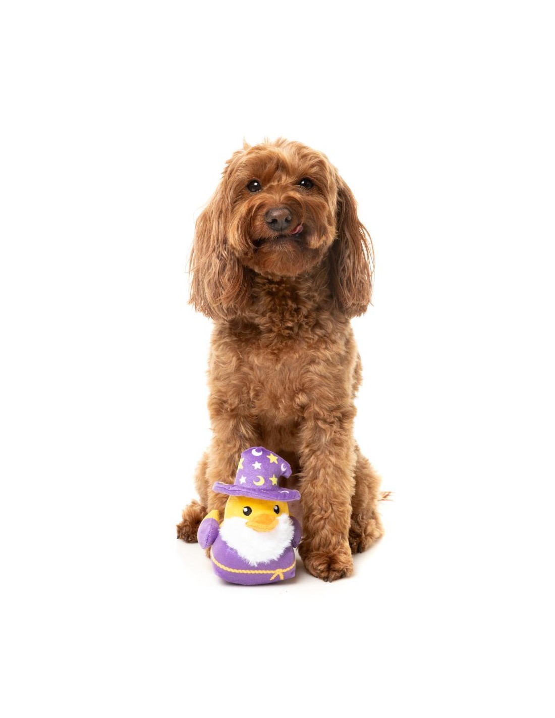 FuzzYard Hundleksak Sirius Quack Large - 5