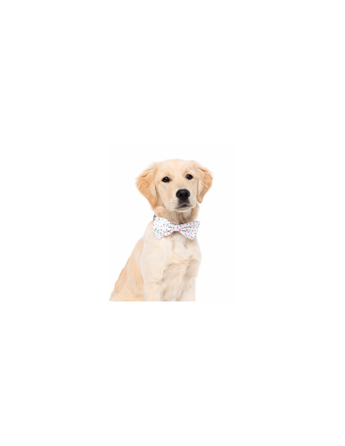FuzzYard Hundfluga Xmas Speckle Large - 2