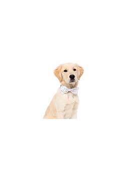 FuzzYard Hundfluga Xmas Speckle Large