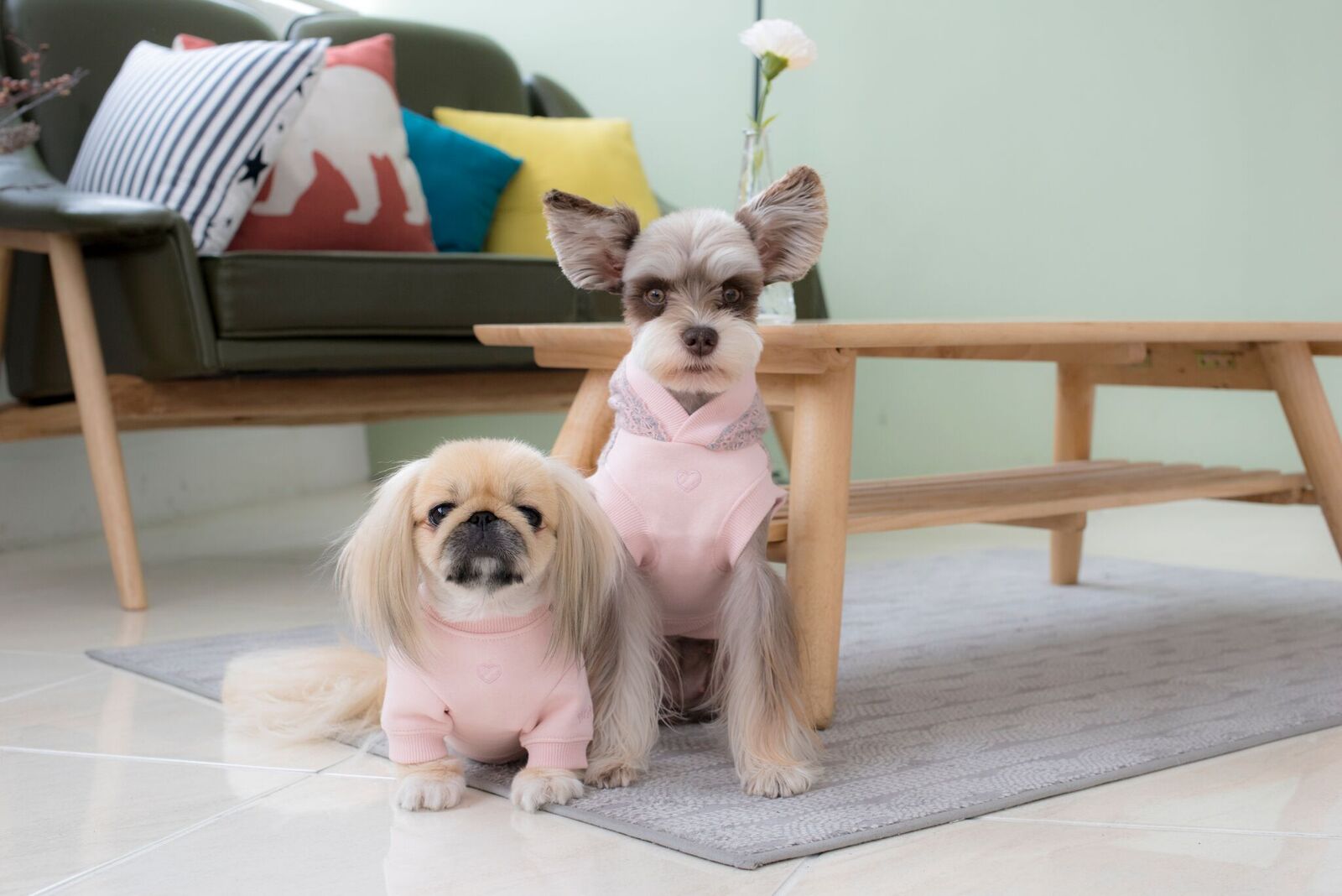 Pinkaholic Reina Hundtröja Rosa Large - 6