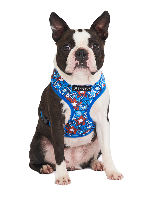 Urban Pup Hero Star Sele  - 2