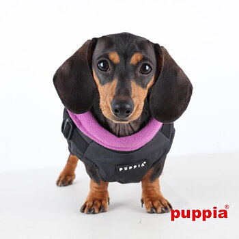 Puppia Täcke Mountaineer II Svart 