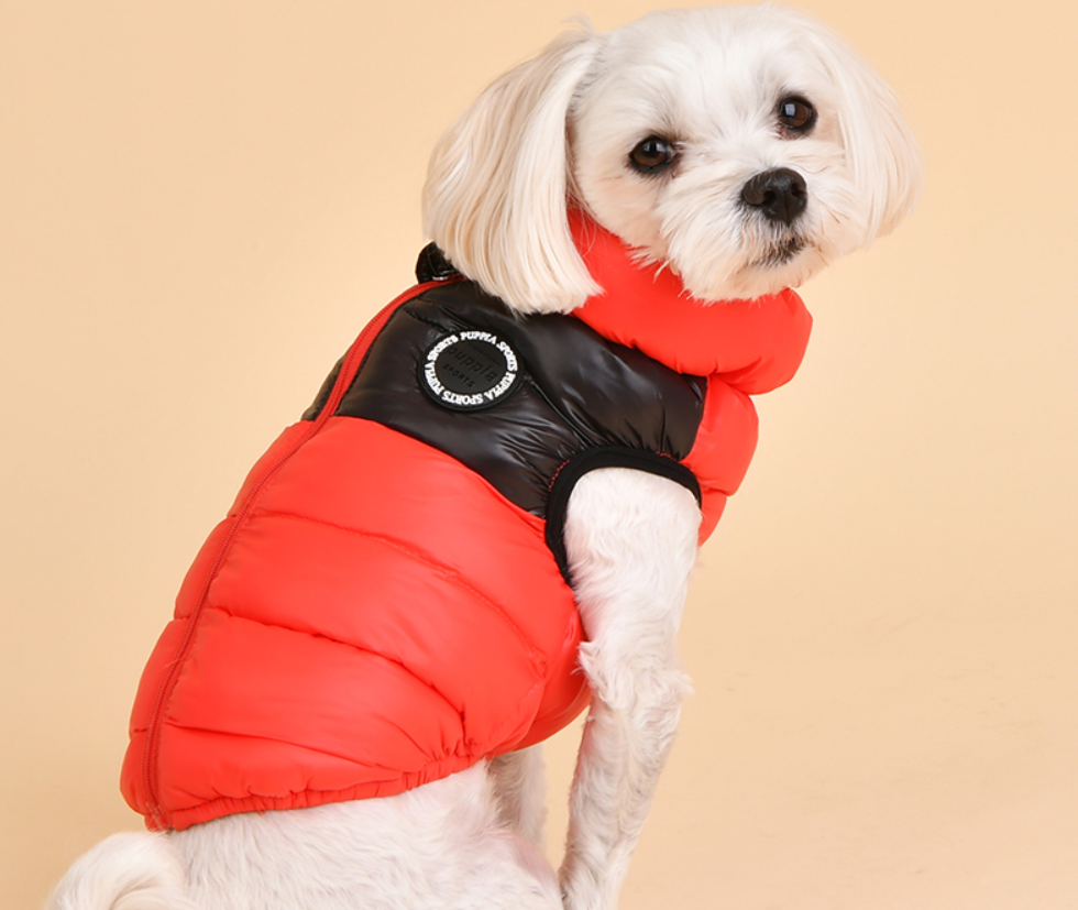 Puppia Hundtäcke Ultralight 2Colorway Gilet Röd/Svart - 5
