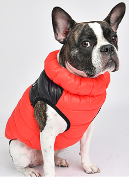 Puppia Hundtäcke Ultralight 2Colorway Gilet Röd/Svart