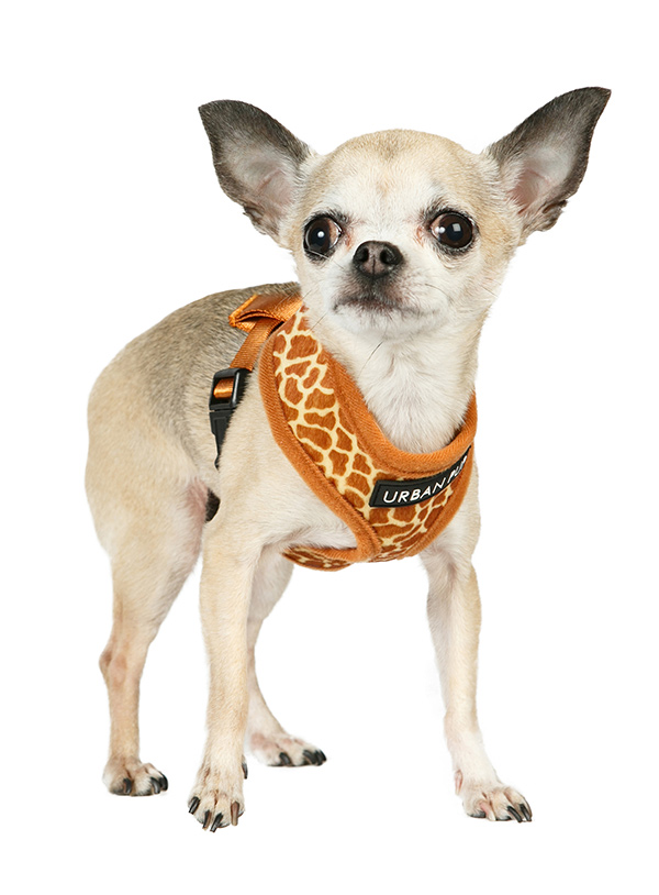 Urban Pup Giraffe Print Sele Brun X-Large - 3
