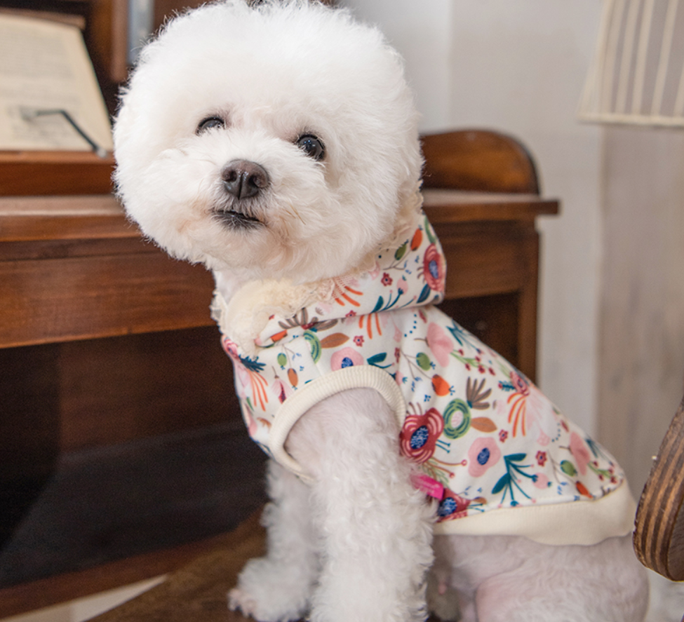Pinkaholic Hundtröja Fleur Ivory Small  - 2