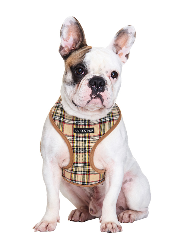 Urban Pup Brown Tartan Sele Brun Medium - 3