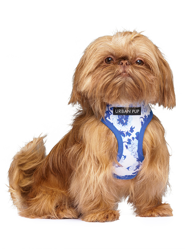 Urban Pup Blue Floral Bouquet Sele Vit/Blå Small - 3