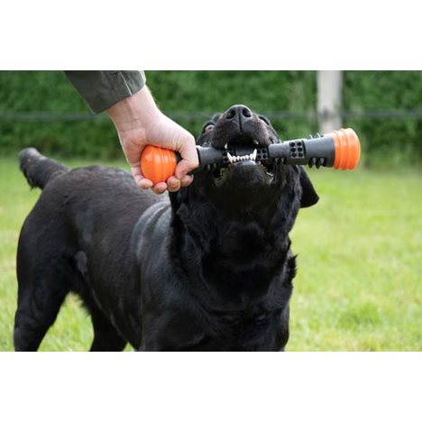 Hundleksak Dog Comets Meteor Gummistav Svart/Orange 22cm - 2