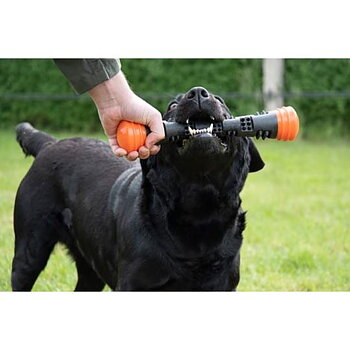 Hundleksak Dog Comets Meteor Gummistav Svart/Orange 22cm