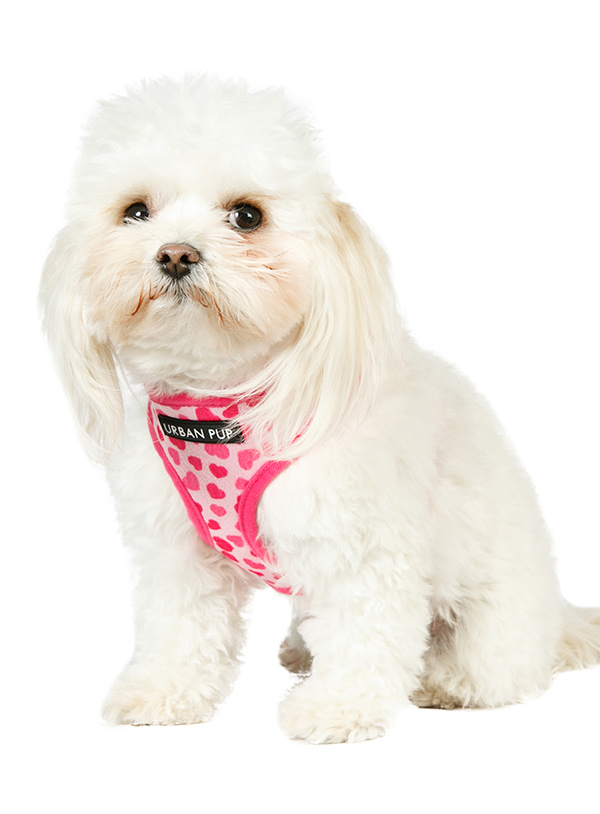 Urban Pup Pink Hearts Sele Rosa Large - 3