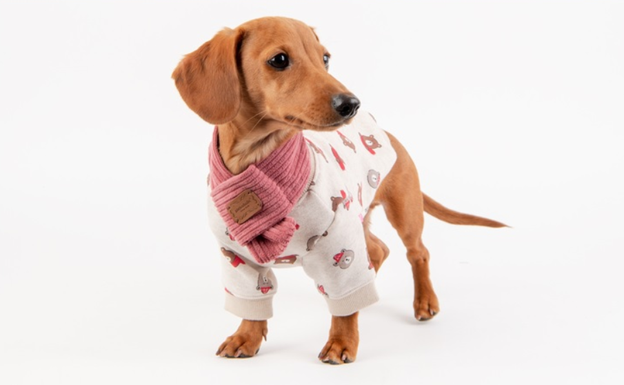 Pinkaholic Hundtröja Med Halsduk  Orsi Oatmeal - 6