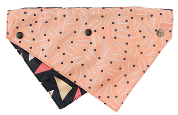 FuzzYard Bandana RAD  Small/Medium