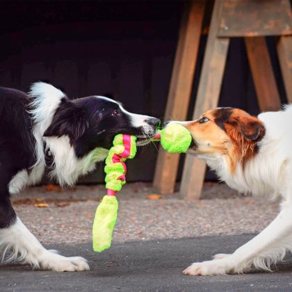 Dogman Leksak Stretchig Grön - 2