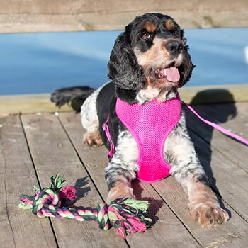Dogman Hundleksak Vixen Floss Large