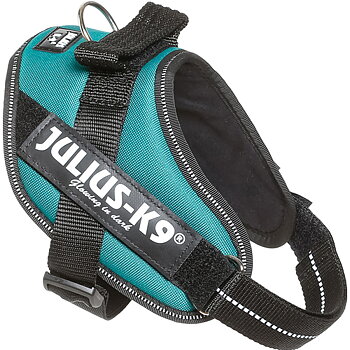 Julius-K9 IDC Sele Mini-Mini Petrol 40-53 cm