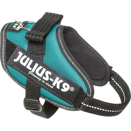 Julius-K9 IDC Sele Mini Petrol 49-67 cm